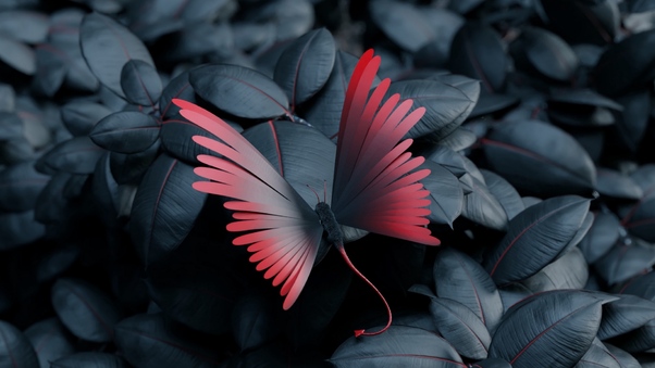 Butterfly Leaves Artwork Wallpaper