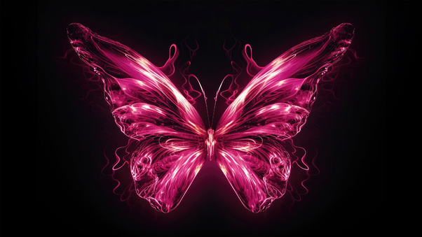Butterfly Neon Pink 4k Wallpaper