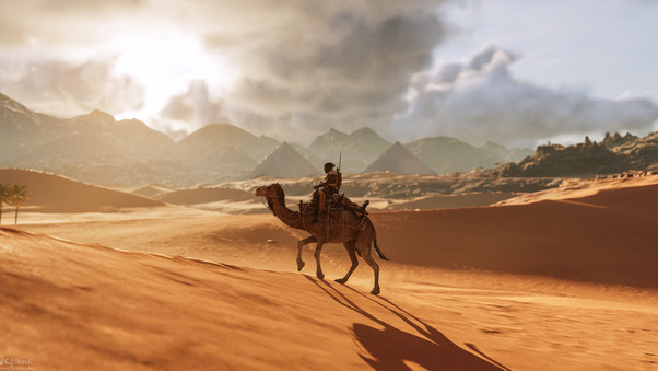 Camel Assassins Creed Origins 8k Wallpaper