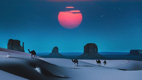 Camel Desert Outrun Wallpaper