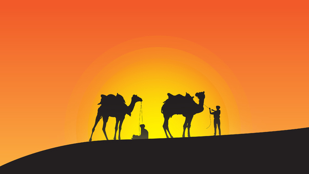 Camel Leaders Silhouette Wallpaper