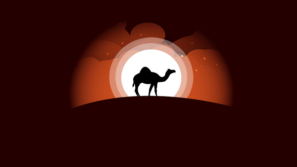 Camel Minimal Art 5k Wallpaper