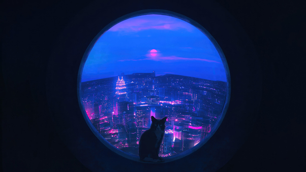 Cat Blue Portal 4k Wallpaper