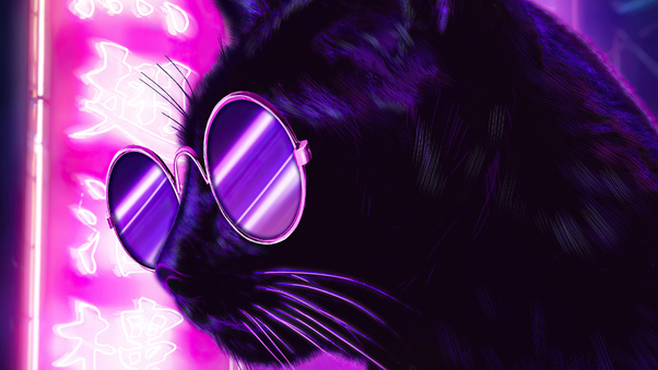 Cat Glasses Neon Purple Nights 4k Wallpaper
