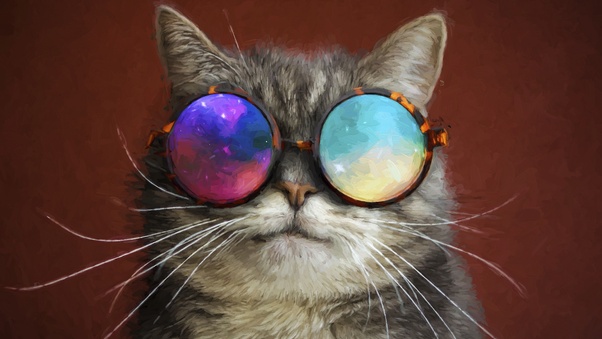 Cat Glasses Party Cool Painting Wallpaper