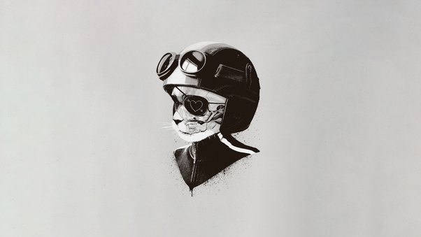 Cat Helmet Minimal Art 5k Wallpaper