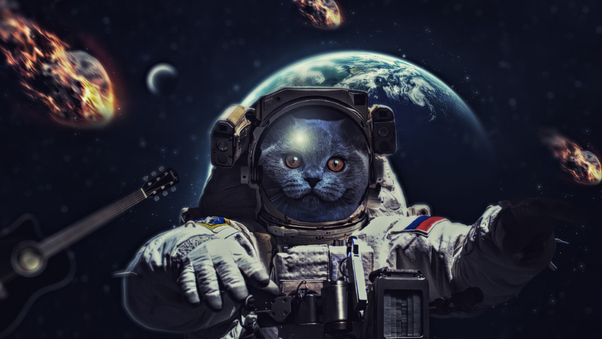 Cat In Space 4k Wallpaper