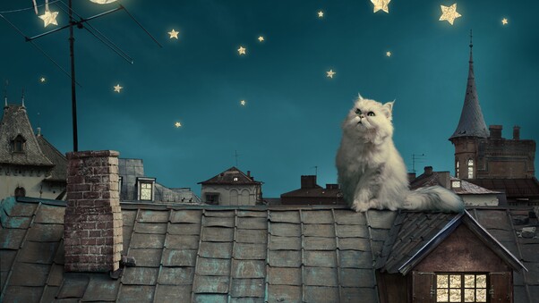 Cat Moon Stars Digital Art Dreamy 5k Wallpaper