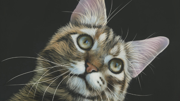 Cat Painting 4k Wallpaper