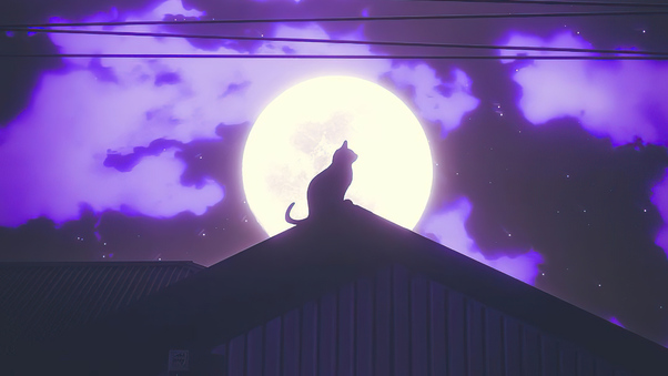 Cat Rooftop Silhouette Wallpaper
