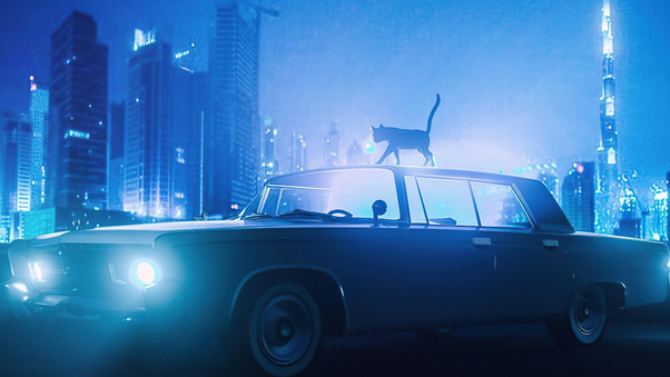Cat Walking On Car Blue Night 5k Wallpaper