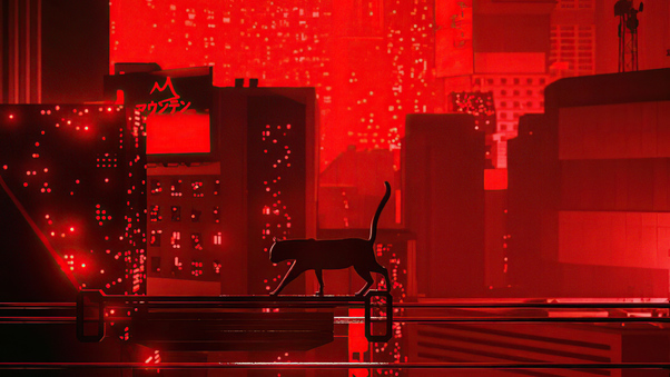 Cat Walking Red Night 5k Wallpaper
