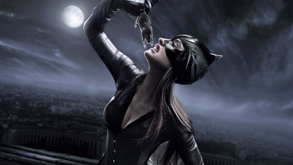 Catwoman Concept Wallpaper