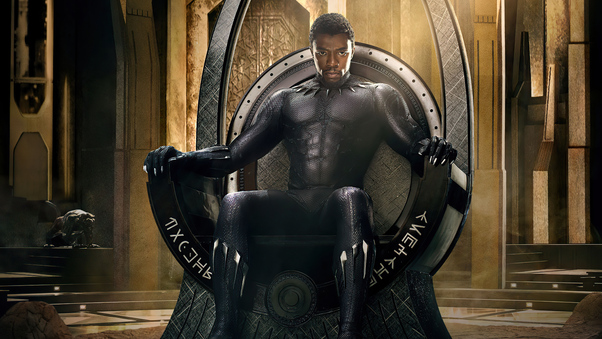 Chadwick Aaron Boseman Black Panther 8k Wallpaper