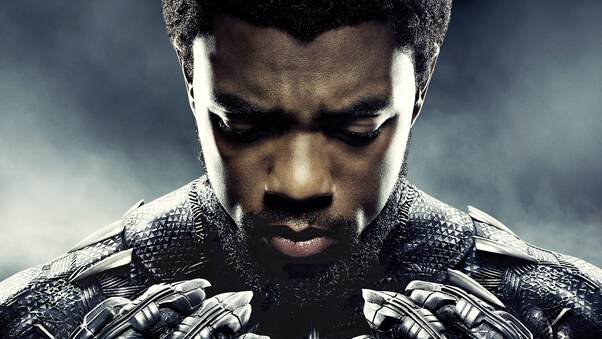 Chadwick Boseman As Black Panther 5k Wallpaper