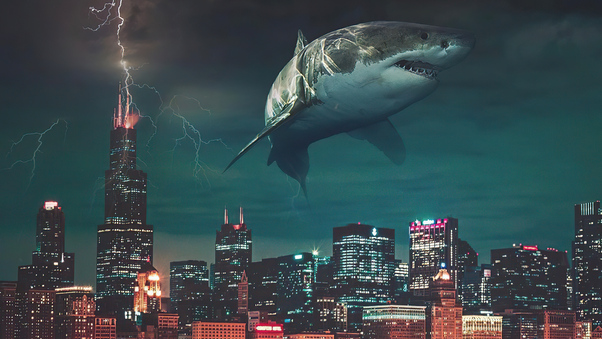 City Sharks 5k Wallpaper