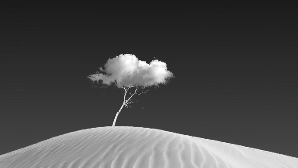 Cloud On Tree (3000x2000) Resolution Wallpaper
