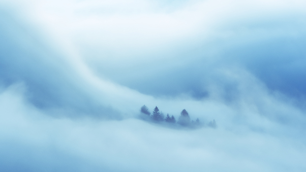 Clouds Covered Heaven Trees 5k Wallpaper