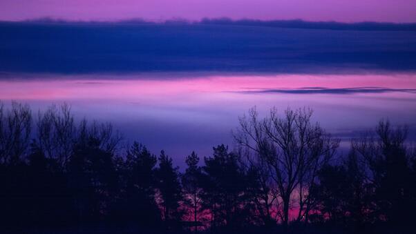 Clouds Forest Landscape Lilac Purple Serene Sunrise Sunset Trees 5k Wallpaper