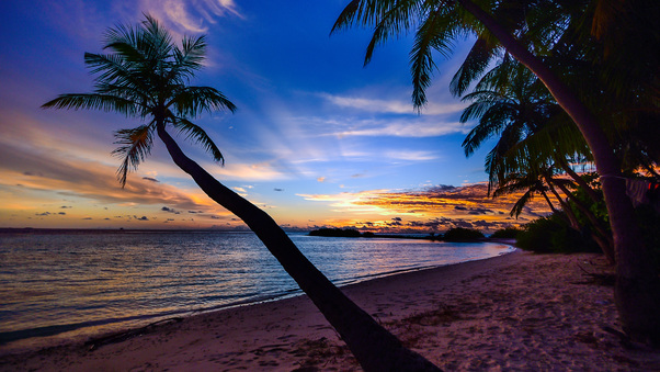 Coconut Trees Beach Clouds Wallpaper