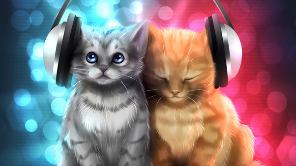Cute Cats Listening Music Wallpaper
