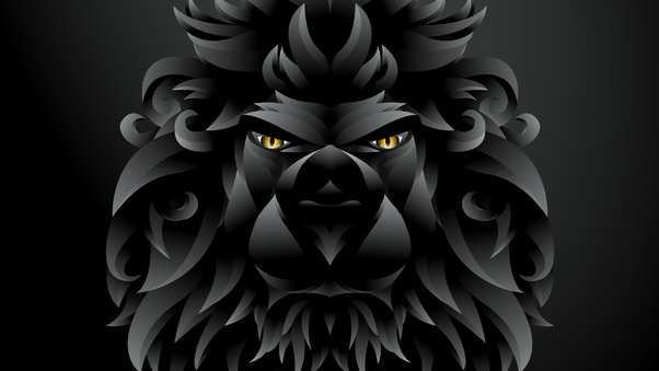 Dark Black Lion Illustration Wallpaper