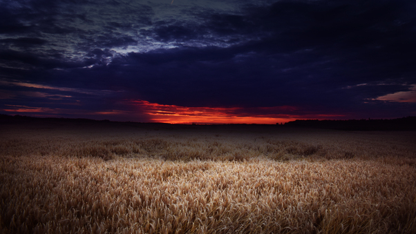 Dark Field Covered By Clouds Sunset 5k Wallpaper