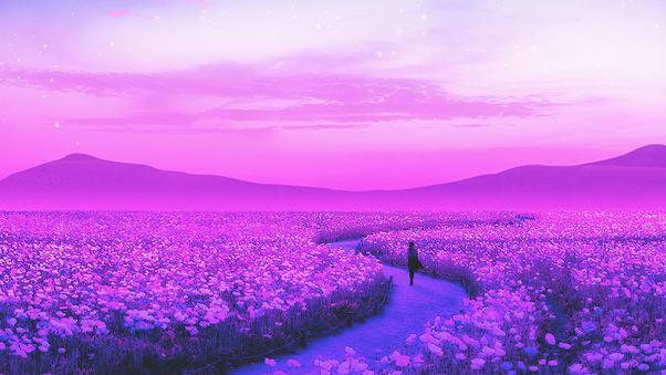 Day Dreaming Lavender Field 4k Wallpaper