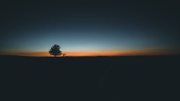 Daybreak Tree Landscape 5k Wallpaper