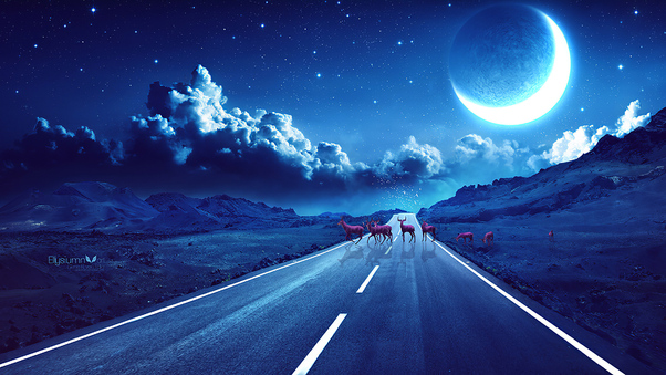 Deer Crossing The Road Magical Night Wallpaper