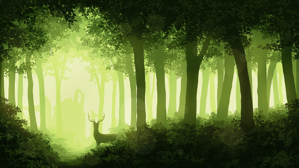 Deer Forest 4k Wallpaper