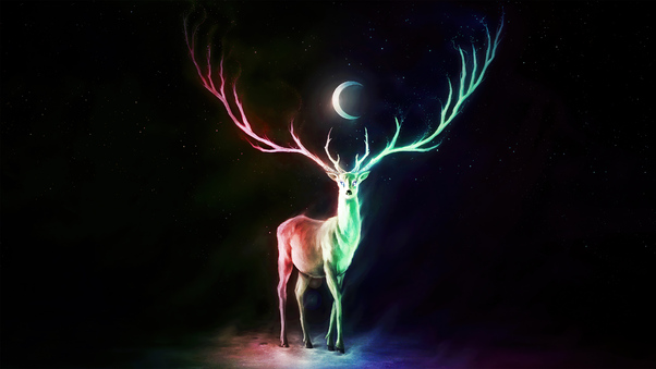 Deer Moon Wallpaper