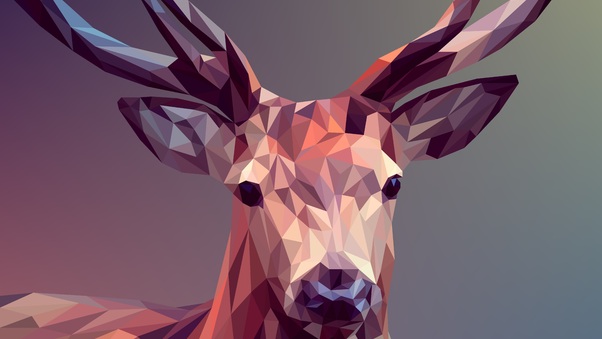 Deer Polygon Art 8k Wallpaper