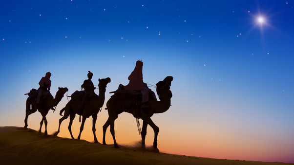 Desert Camels Evening Silhouette Wallpaper