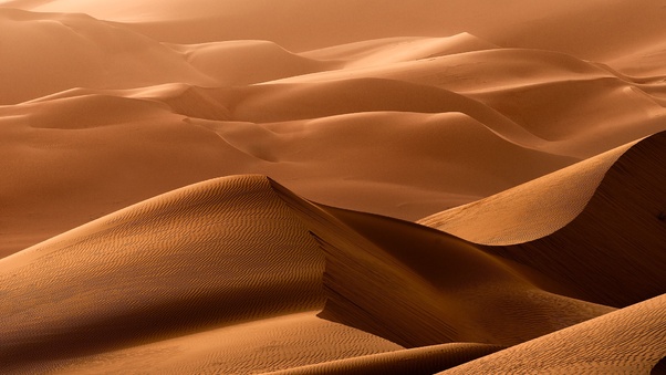 Desert Dune Landscape Wallpaper