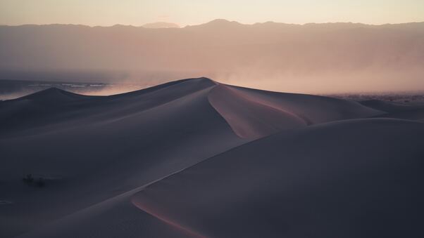 Desert Dunes 4k Wallpaper