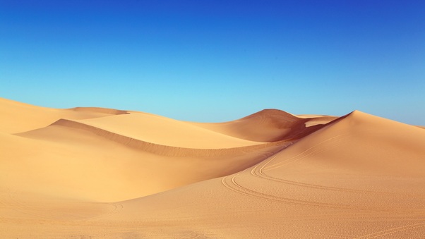Desert Dunes Wallpaper