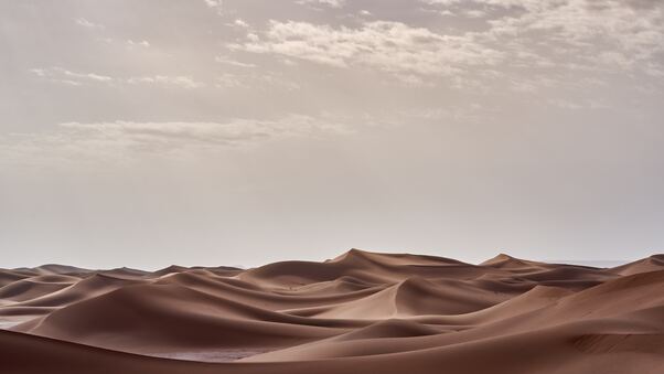 Desert Landscape Morning 4k Wallpaper
