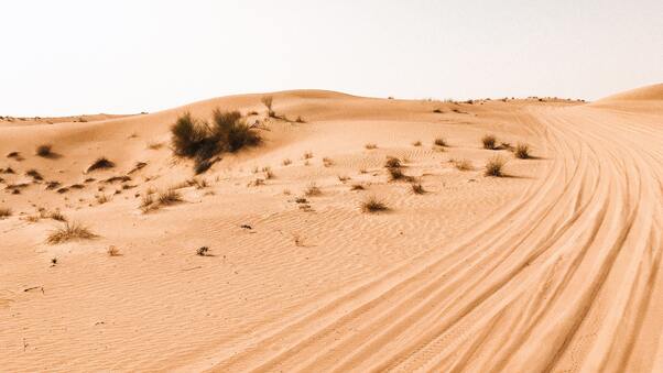 Desert Photography 4k Wallpaper
