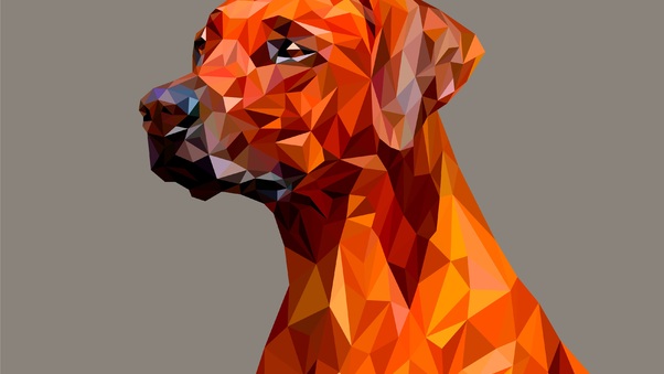 Dog Polygon Facets Wallpaper