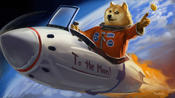 doge-to-the-moon-05.jpg