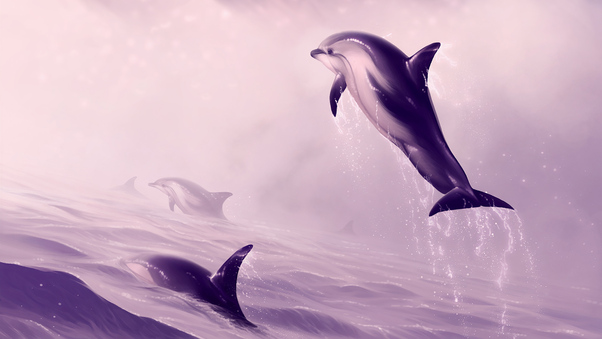Dolphin Jumping Out Of Water Digital Art Wallpaper