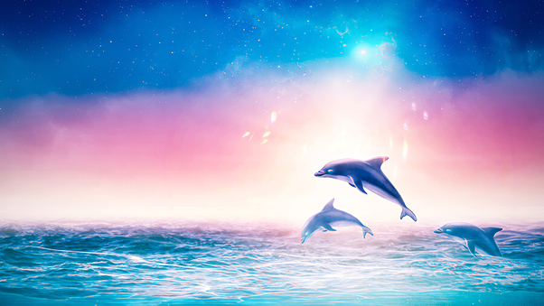 Dolphins Digital Art 4k Wallpaper