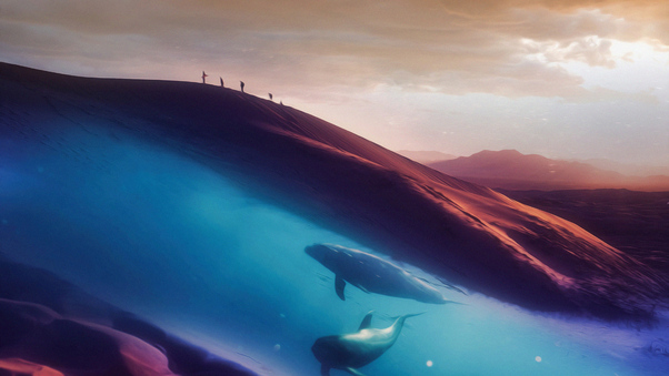 Dolphins In Desert 4k Wallpaper