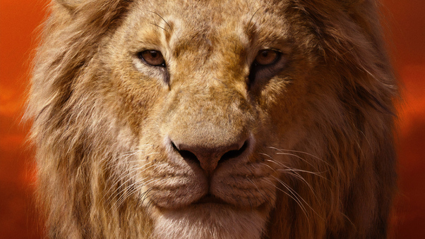 Donald Glover As Simba The Lion King 2019 4k Wallpaper
