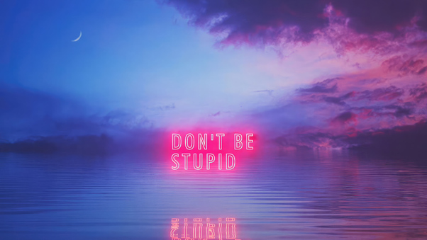 Dont Be Stupid Wallpaper