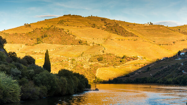 Douro River 8k Wallpaper