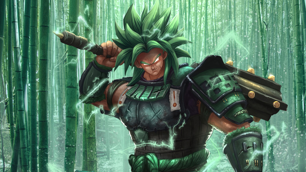 Dragon Ball Z Samurai Broly Wallpaper