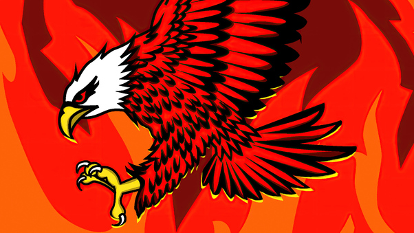 Eagle Of Flames Wallpaper