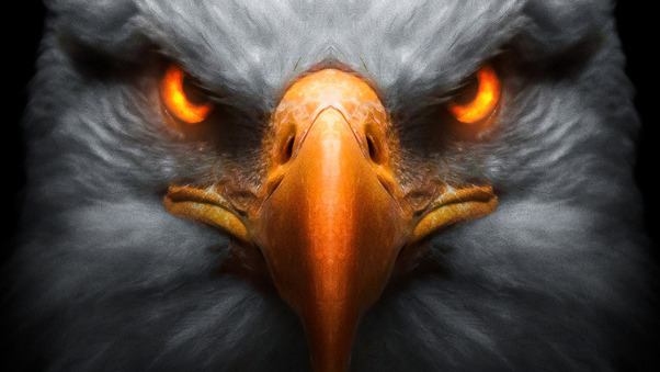 Eagle Red Glowing Eyes Wallpaper